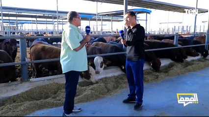 المشرف على مشروع الثروة الحيوانية بمشروع مستقبل مصر: لدينا 6 مزارع بطاقة 150 ألف رأس في السنة