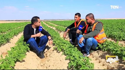 على مدد الشوف هتشوف خضار.. المهندسيين في مشروع مستقبل مصر هيكشفولنا ليه محصول البطاطس مهم؟