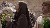 Jesus Capitulo 108 En Español Latino-HD