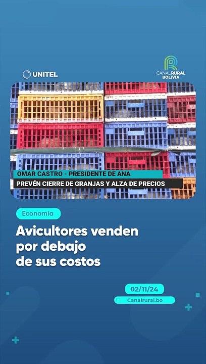 Avicultores venden por debajo de sus costos