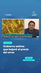 Gobierno estima que bajará el precio del arroz