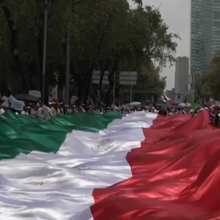 loop reforma judicial