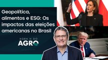 Eleição nos EUA: o que muda para o Brasil com Trump ou Kamala? | HORA H DO AGRO