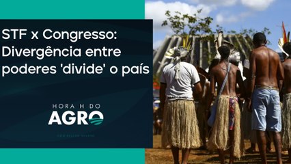 Propriedade privada: senadores querem mudar a Constituição; entenda! | HORA H DO AGRO