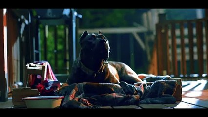 Don't Mess With Grandma Trailer