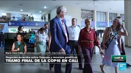 La COP16 entra en la fase de negociaciones finales ¿qué está en juego?