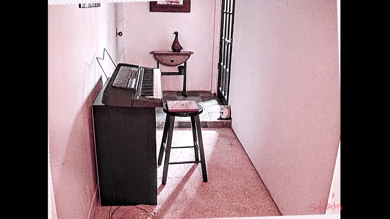 A MESS OF ORGAN (ELECTRIC KEYBOARD) SOUNDS & VISION. FROM BACH TO GENESIS NOTES BANK & KEYS