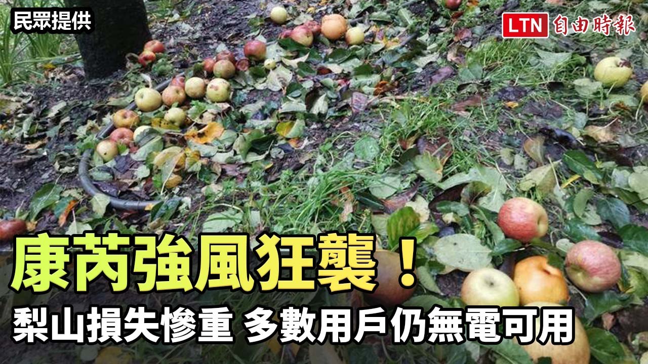 康芮強風狂襲！梨山損失慘重 多數用戶仍無電可用（讀者羅進玉提供）
