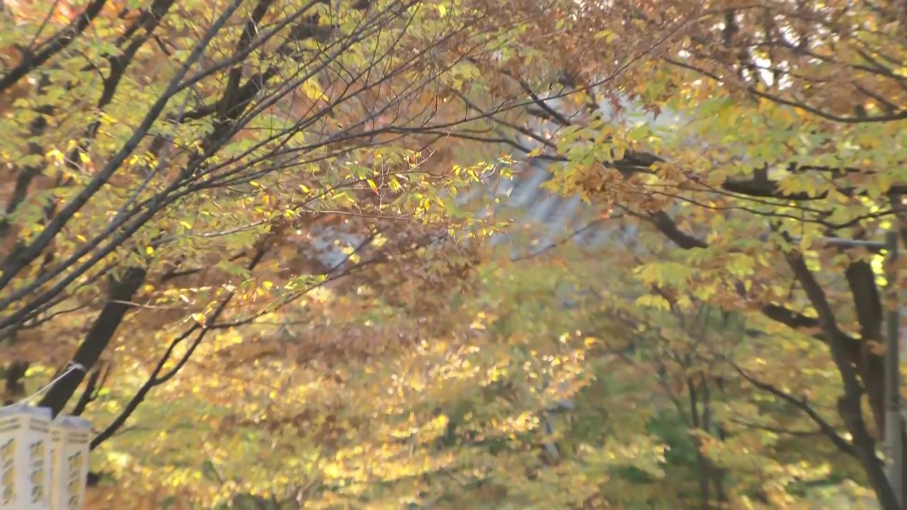 주말, 온화한 가을 날씨...도심 고궁 속 '가을 축제' / YTN