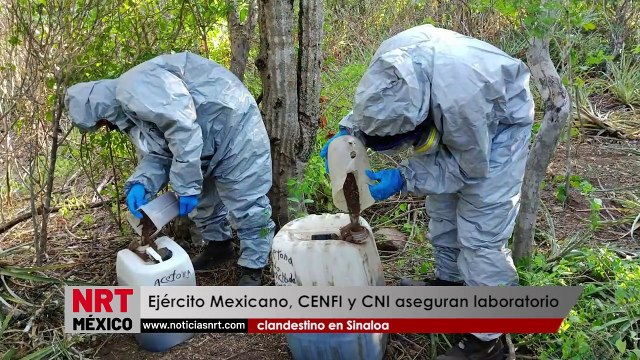 Ejército Mexicano, CENFI y CNI aseguran laboratorio clandestino en Sinaloa