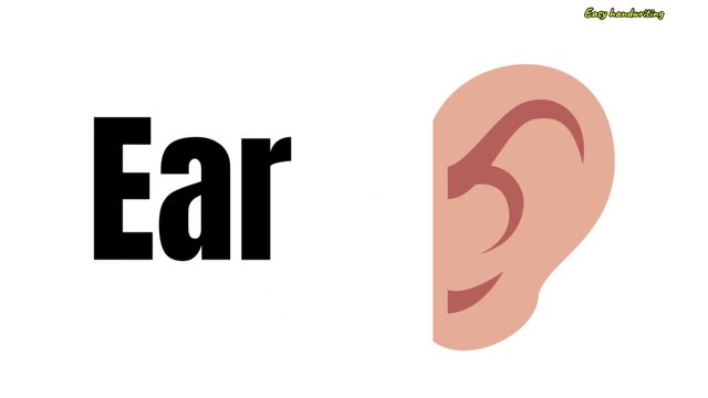 Body parts Names - Learn vocabulary for kids - parts of body names#english#viral_2