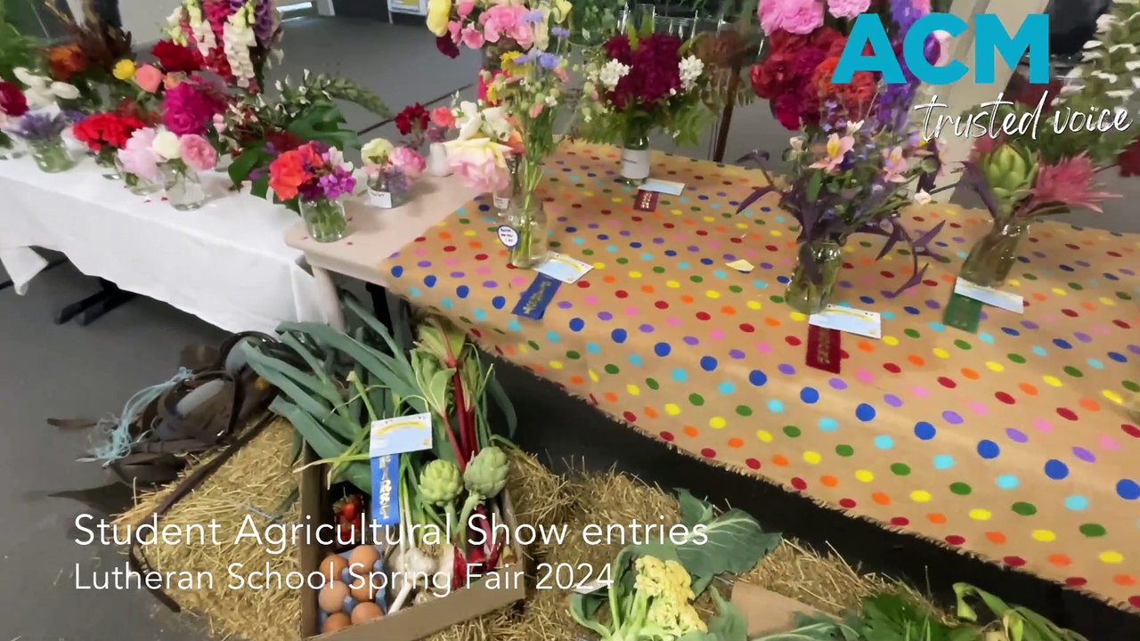 Lutheran School Spring Fair 2024