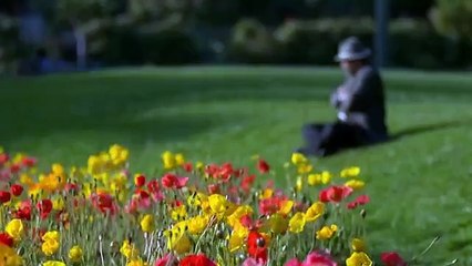 Princesse Rebelle 2012 Film Cmplet en Francais de Disney Nouveau