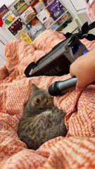 Aww That’s So Cute