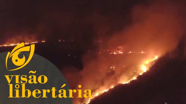 Você lembra que a Amazônia estava pegando fogo? - HD | Visão Libertária - 09/04/20 | ANCAPSU