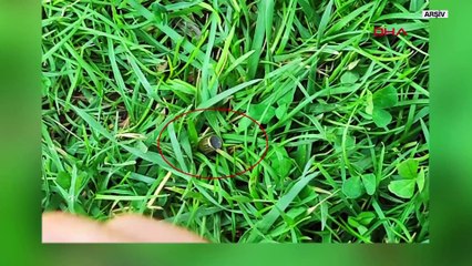 Hatay'da yorgun mermi hayat kararttı: Evinin bahçesinde vuruldu!