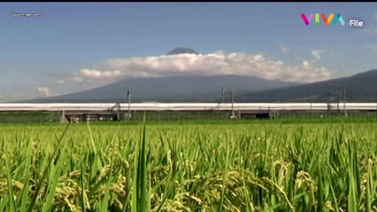 LANGKA! Gunung Fuji Tanpa Salju dalam 130 Tahun