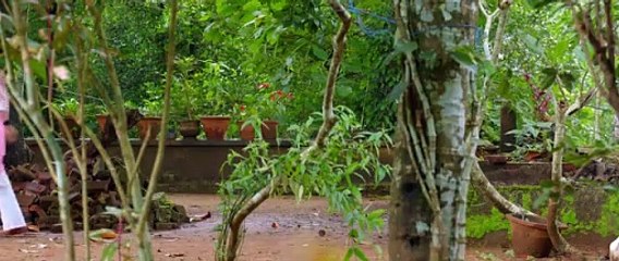 Sundari Gardens (2022) Malayalam  2