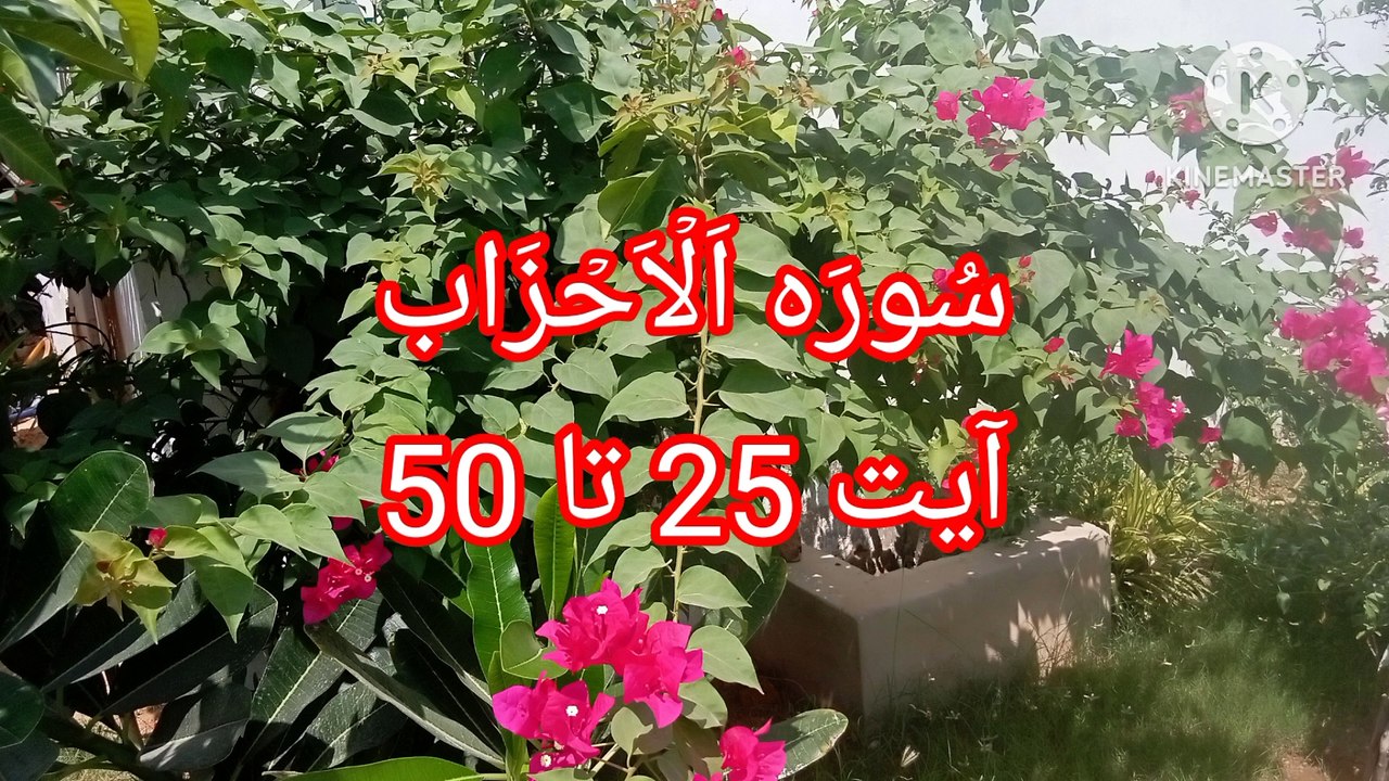 Surah Al Ahzab - Ayat 25 to 50 - quran recitation - Beautiful voice - Learn quran -