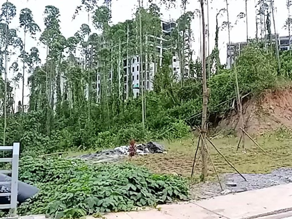 Pipa Air Bersih dari Sepaku ke IKN Melewati Hutan Produksi