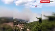 Hatay'da Orman Yangını: Müdahale Başladı