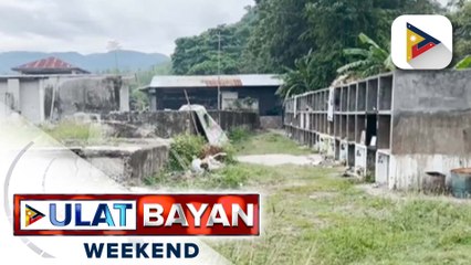 Babae na kalilibing lang sa Carcar City, Cebu, nadiskubreng hubad at nasa labas ng nitso