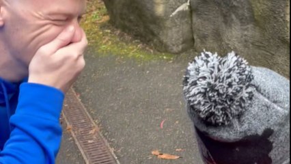 Baby's excitement shines as he tries to pronounce 'penguins' during his first zoo trip