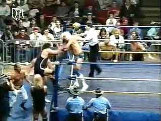 WCW Catch Up (RTLplus) 1990-07-23