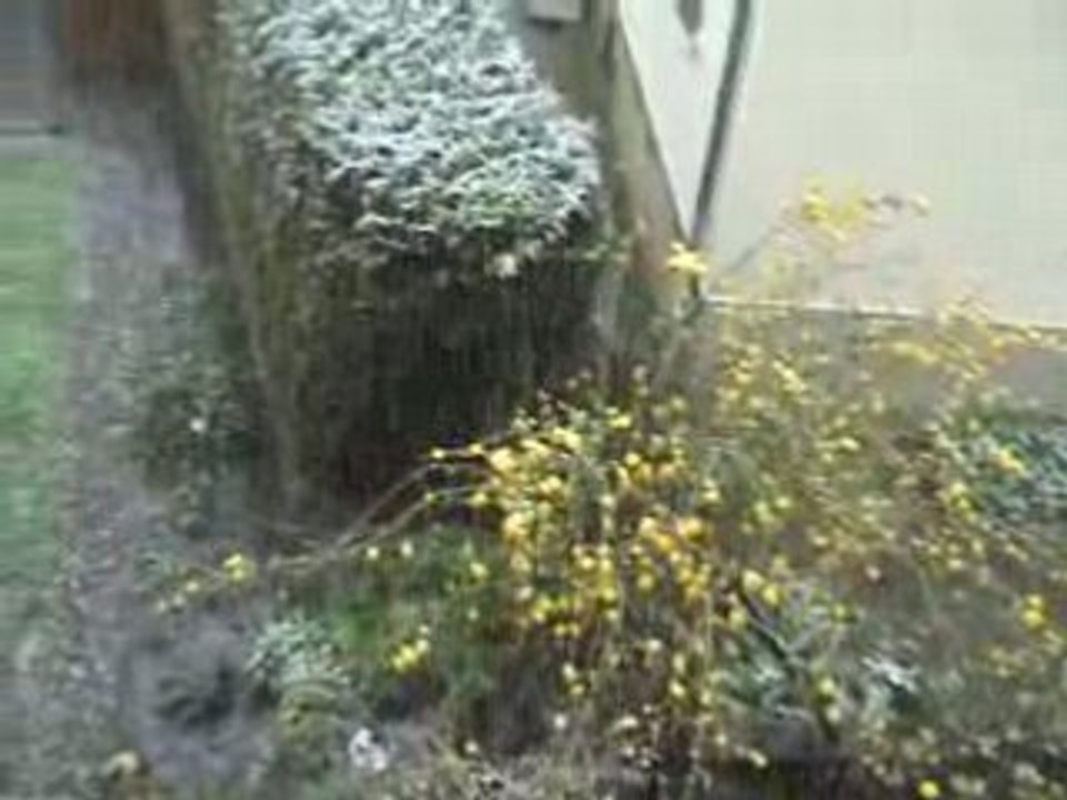 Neige 003