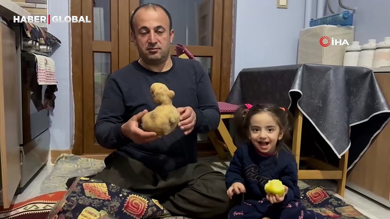 Satın aldığı patates çuvalında ördeğe benzer patates çıktı