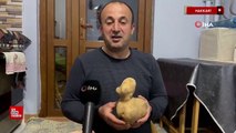 Hakkari'de satın aldığı patates çuvalında ördeğe benzer patates çıktı