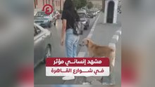 مشهد إنساني مؤثر في شوارع القاهرة