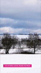 ✅Música agradável para ouvir- Fragmentos #1 #Shorts