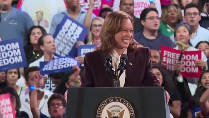 영국 더타임스, 마지막 여론조사에서 "해리스 승리" 예상 / YTN