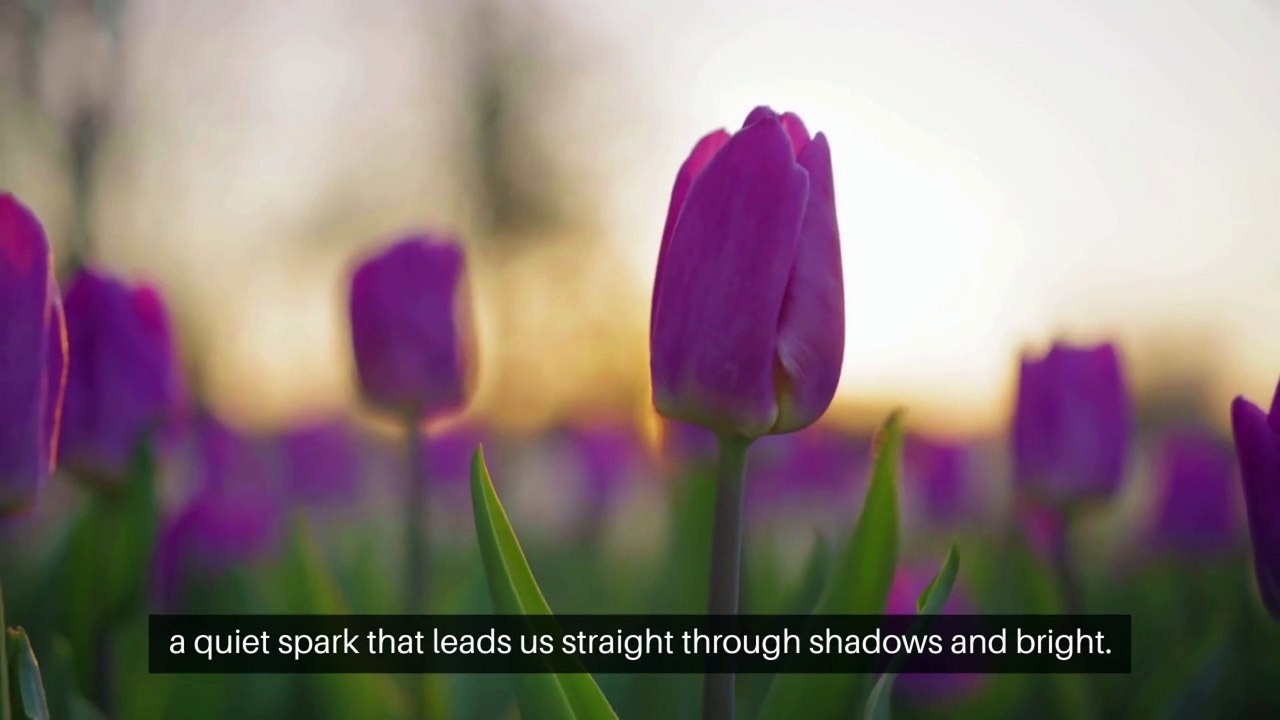 In the Glow of Your Heart.