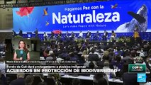 Informe desde Cali: Fondo de Cali y subsidios a indígenas, entre las decisiones de la COP16