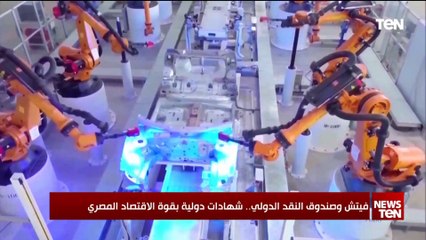 فيتش وصندوق النقد الدولي.. شهادات دولية بقوة الاقتصاد المصري