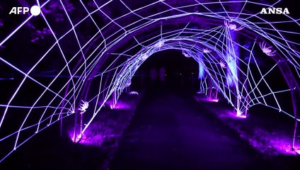 Halloween, un percorso luminoso e "spettrale" ai Kew Gardens di Londra