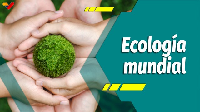 Punto Verde | Día Mundial de la Ecología ¿Cómo nos comportamos con el mundo que nos rodea?
