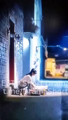 Kembar Tiga Dimanjakan Ayah Miliarder | Full Episode Menyentuh ❤️