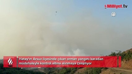 Hatay Valiliği'nden orman yangını açıklaması: Can kaybı yaşanmadı