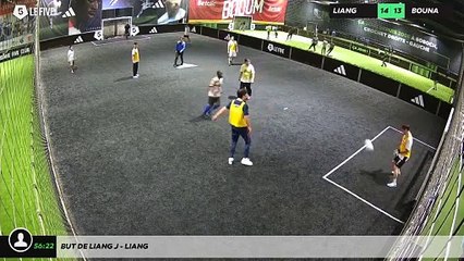 Understanding Liang J - LIANG: Key Insights and Contributions