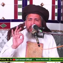 Allama qari Muhammad Anwar Rizvi viral Status