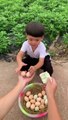 Lubna selling Eggs | Super funny video