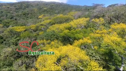 Confira íntegra do programa SC Agricultura deste sábado(02)!