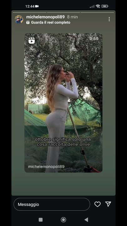 la raccolta delle olive