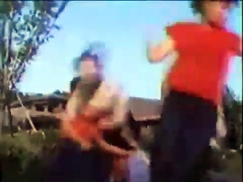 ⭐⭐Holocausto ninja (Películas de Artes Marciales) ESPAÑOL