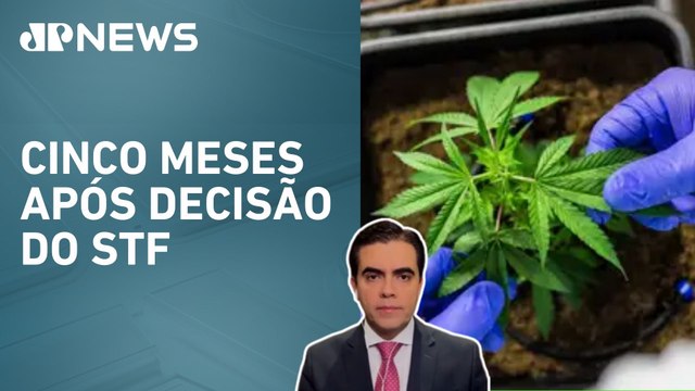 CNJ começa mutirão para rever prisões de usuários de drogas; Vilela analisa