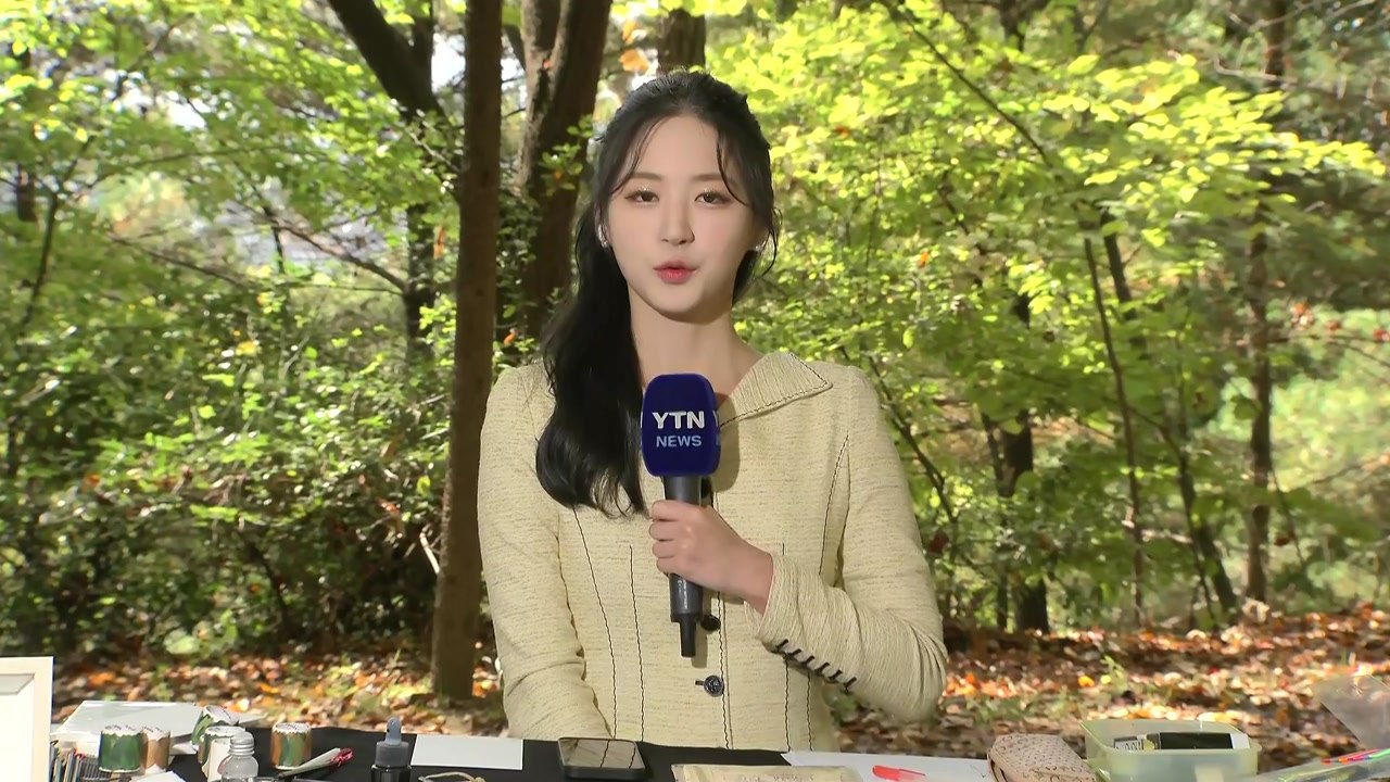[날씨] 휴일, 맑고 파란 하늘...완연한 가을 즐기는 시민들 / YTN