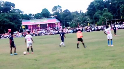 হুলস্থুল দৌড়া দৌড়ি করে নিজেদের বিপদ সংকেত টানছে